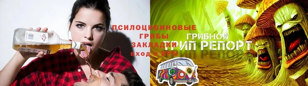 Альфа ПВП Алзамай